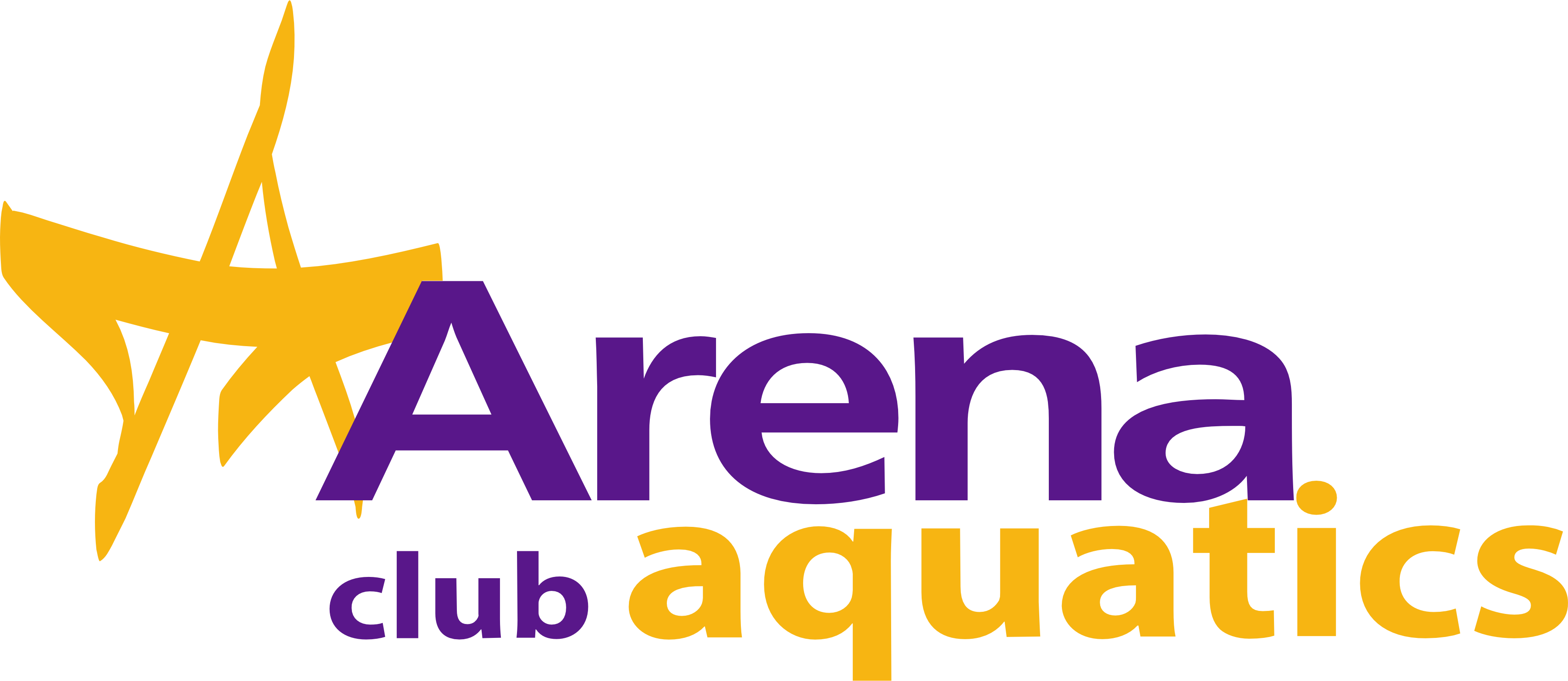 Arena Club Aquatics purple and gold